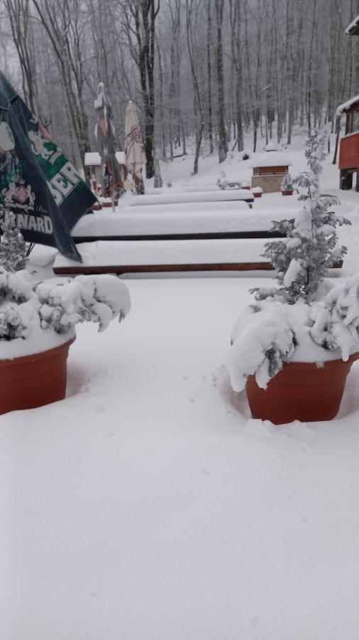 Chata Korenny Vrch Pezinska Baba Pezinok Dış mekan fotoğraf