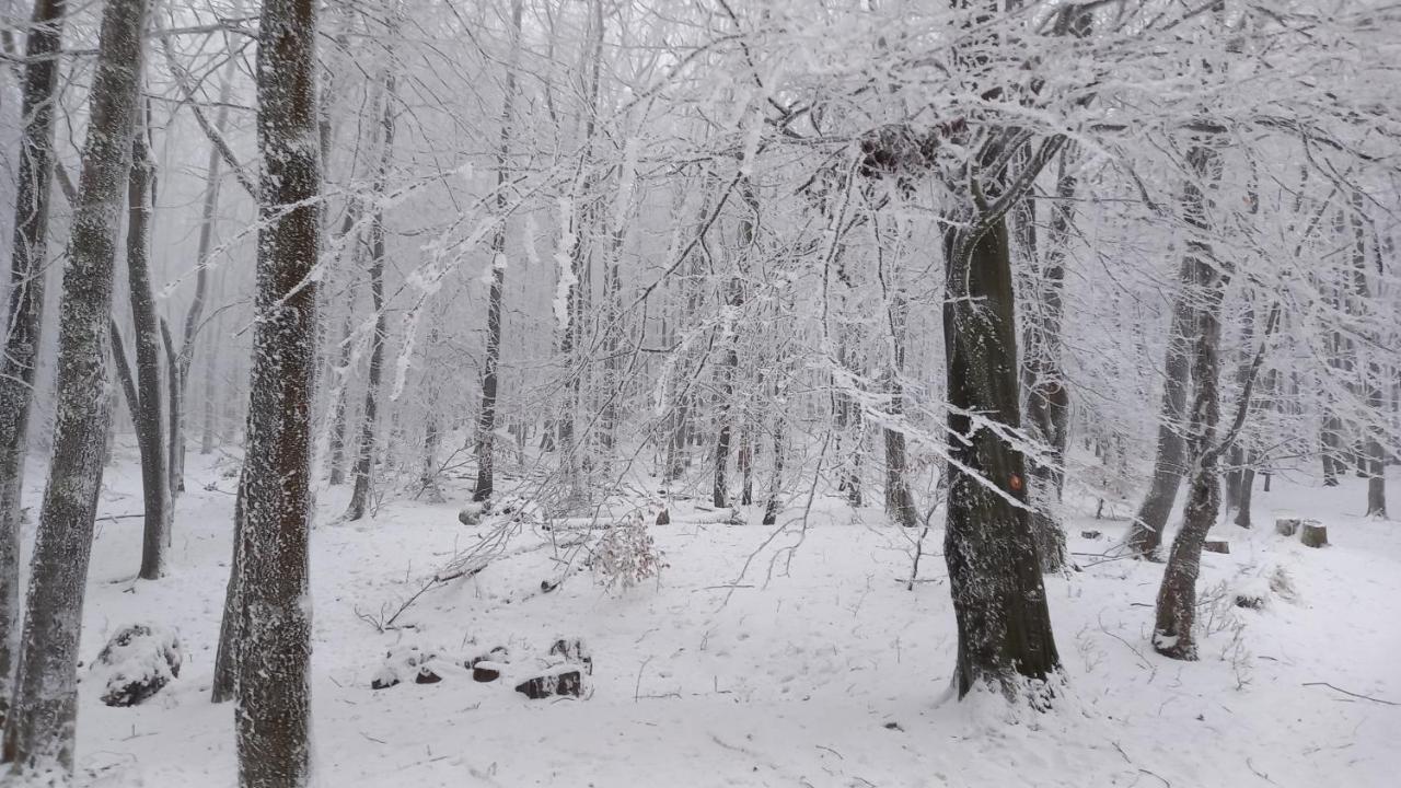 Chata Korenny Vrch Pezinska Baba Pezinok Dış mekan fotoğraf
