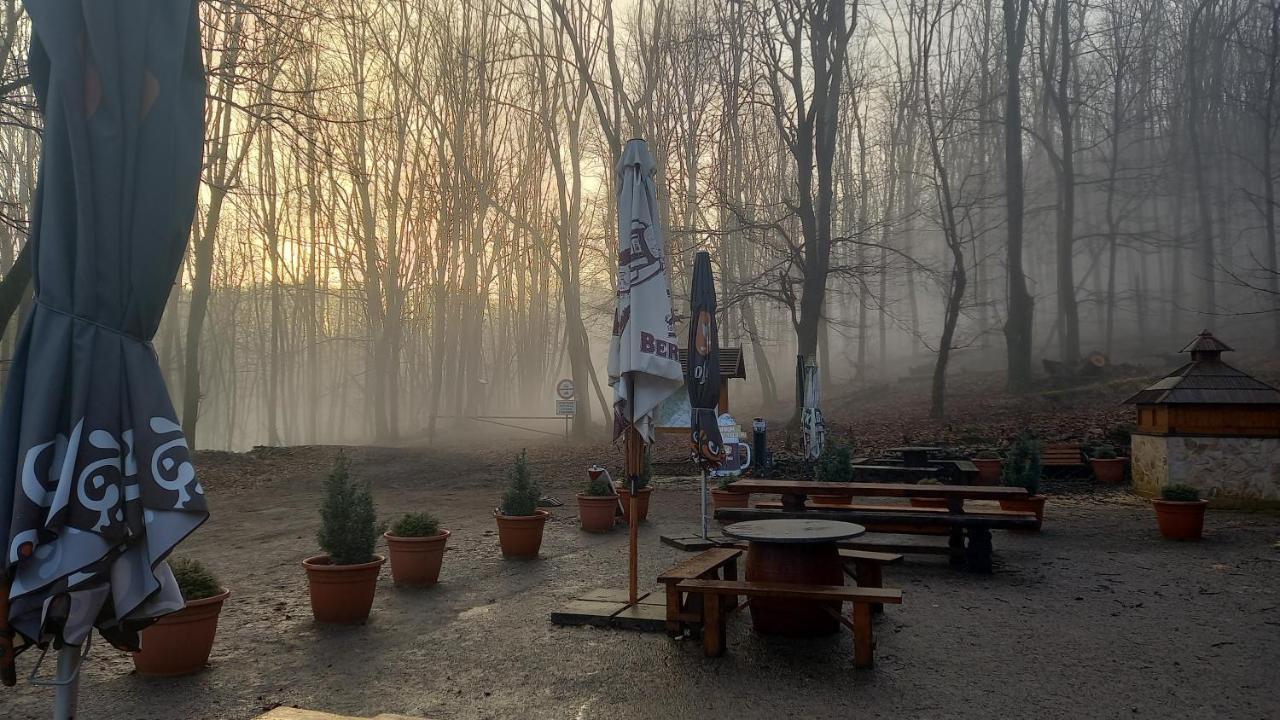 Chata Korenny Vrch Pezinska Baba Pezinok Dış mekan fotoğraf