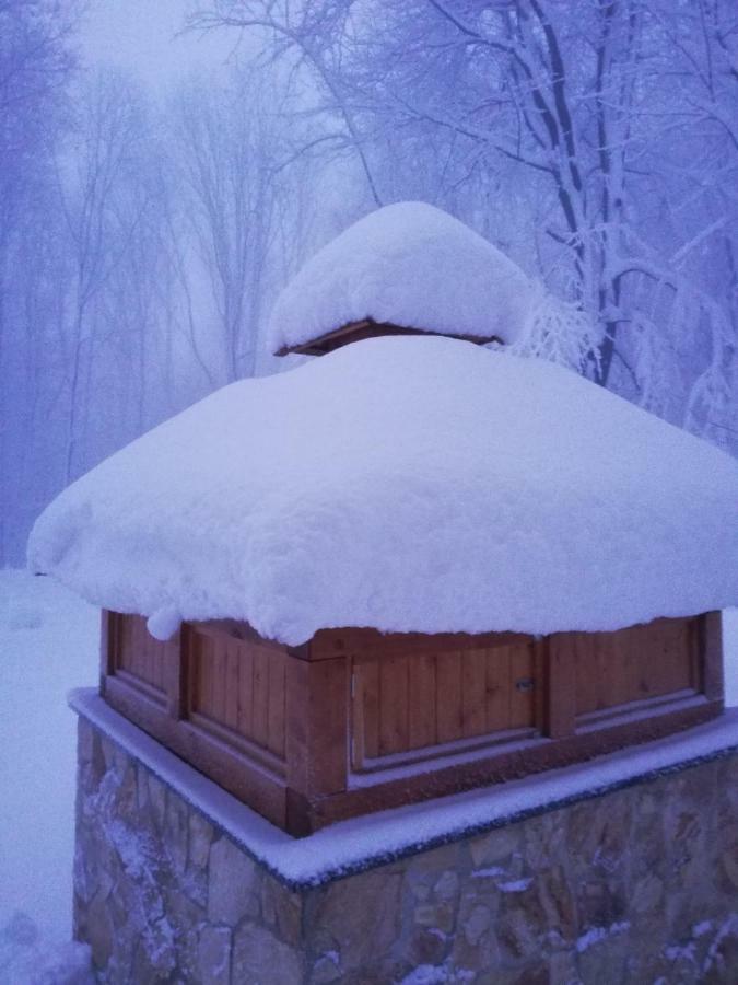 Chata Korenny Vrch Pezinska Baba Pezinok Dış mekan fotoğraf